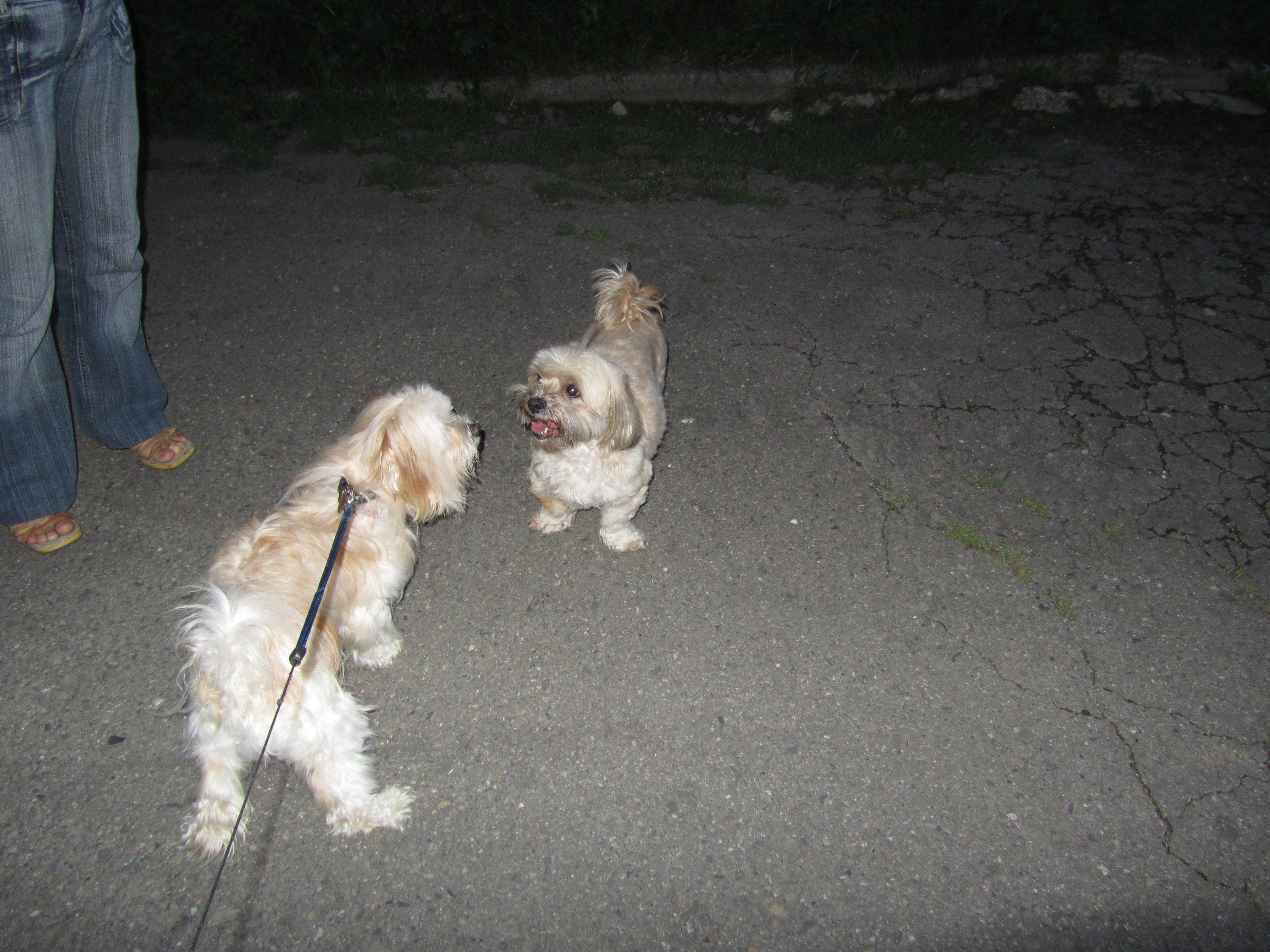 Joey&Amy4.JPG